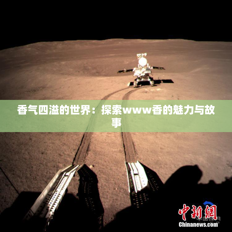 香气四溢的世界：探索www香的魅力与故事