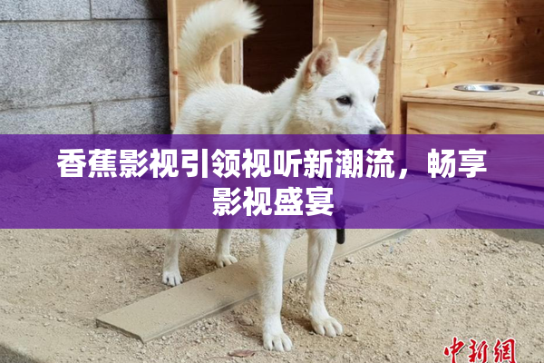 香蕉影视引领视听新潮流，畅享影视盛宴