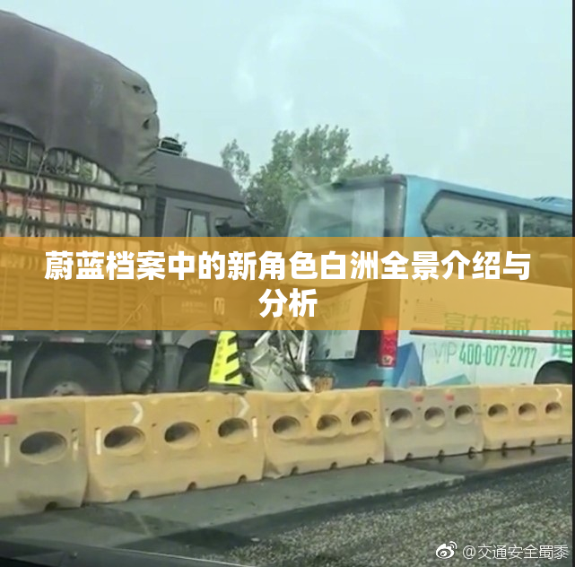 蔚蓝档案中的新角色白洲全景介绍与分析