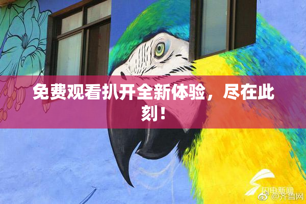 免费观看扒开全新体验，尽在此刻！