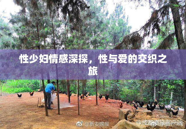 性少妇情感深探，性与爱的交织之旅