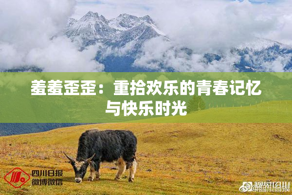 羞羞歪歪：重拾欢乐的青春记忆与快乐时光