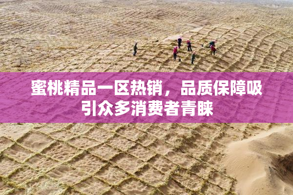 蜜桃精品一区热销，品质保障吸引众多消费者青睐