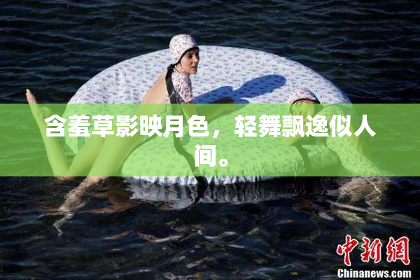 含羞草影映月色，轻舞飘逸似人间。