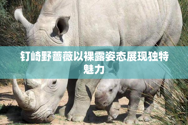 钉崎野蔷薇以裸露姿态展现独特魅力