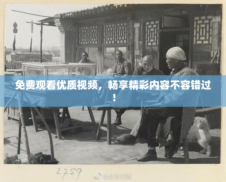 免费观看优质视频，畅享精彩内容不容错过！