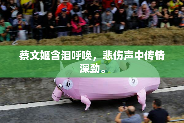 蔡文姬含泪呼唤，悲伤声中传情深劲。
