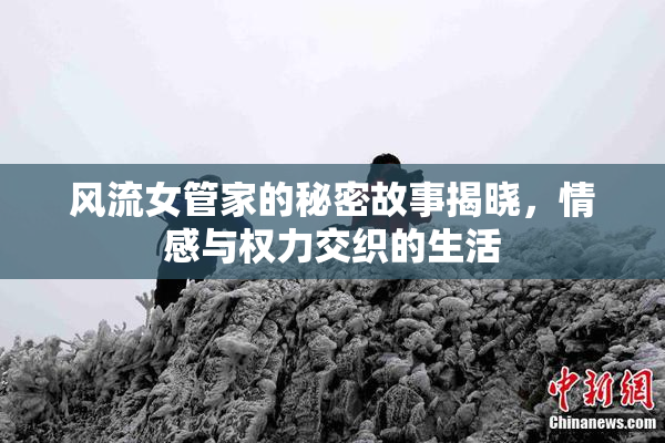 风流女管家的秘密故事揭晓，情感与权力交织的生活