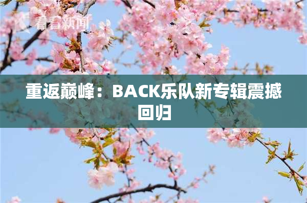 重返巅峰：BACK乐队新专辑震撼回归