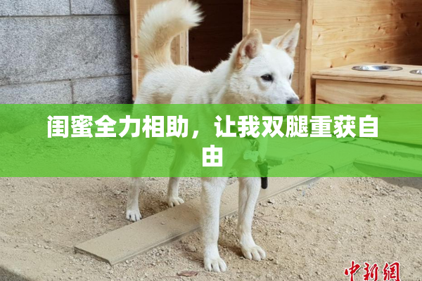 闺蜜全力相助，让我双腿重获自由