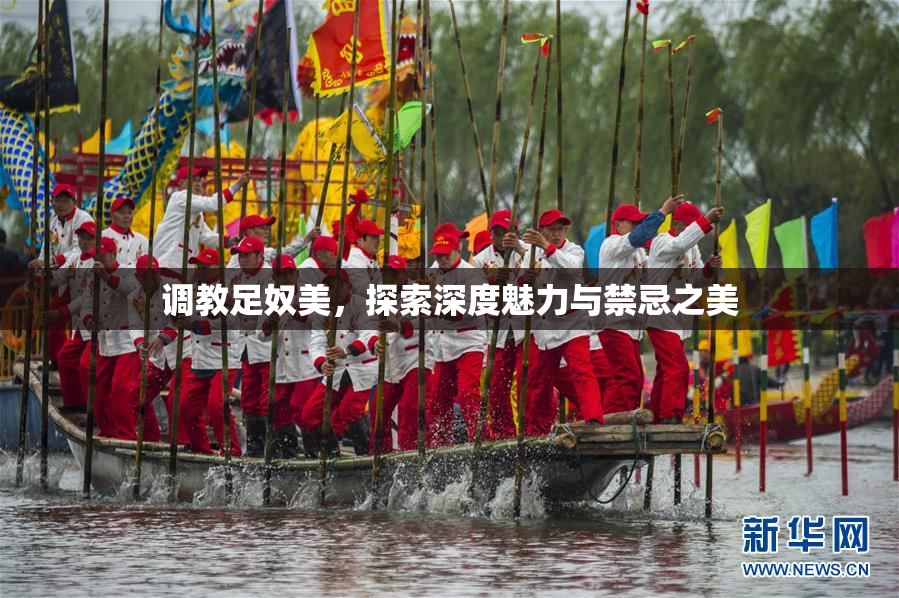 调教足奴美，探索深度魅力与禁忌之美