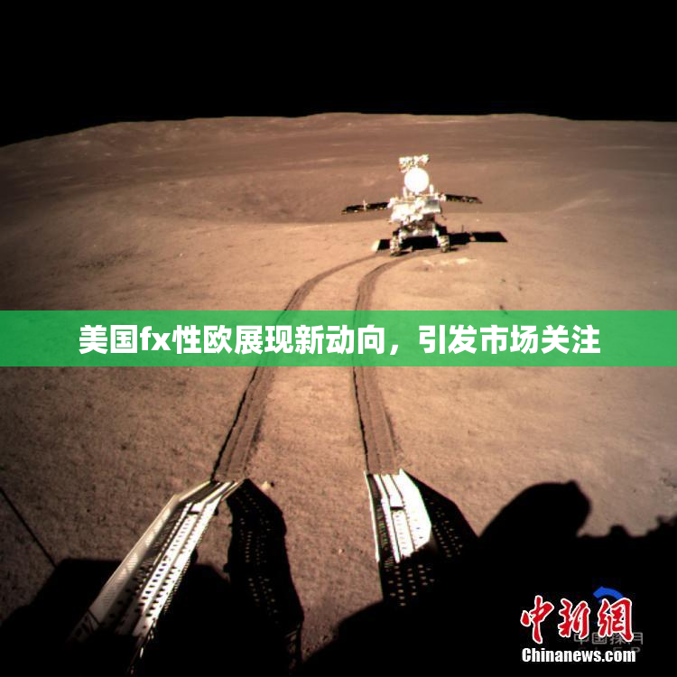 美国fx性欧展现新动向，引发市场关注