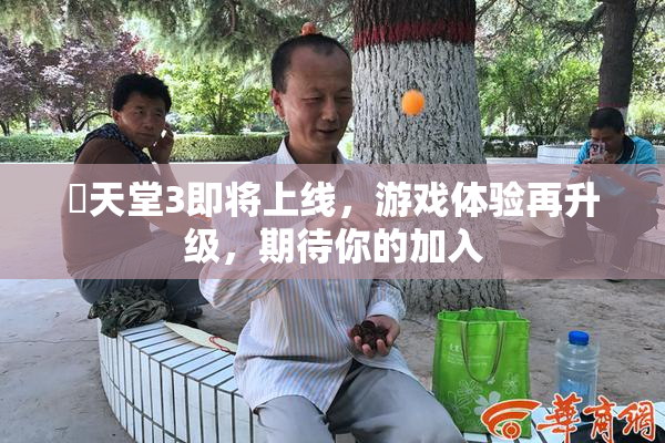 妺天堂3即将上线，游戏体验再升级，期待你的加入
