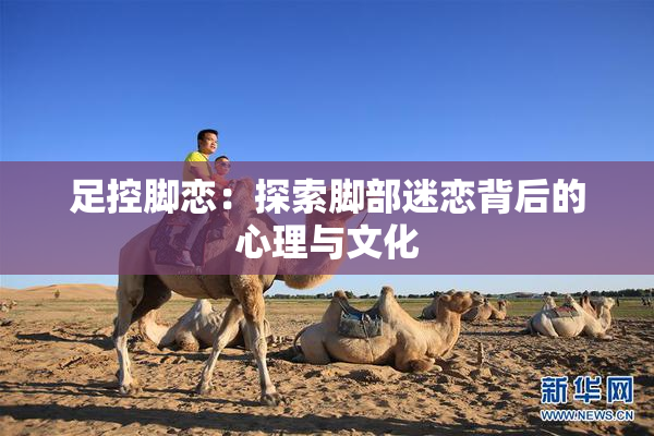 足控脚恋：探索脚部迷恋背后的心理与文化
