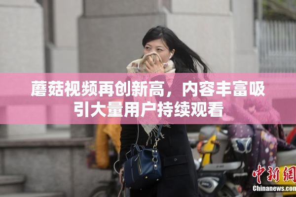 蘑菇视频再创新高，内容丰富吸引大量用户持续观看