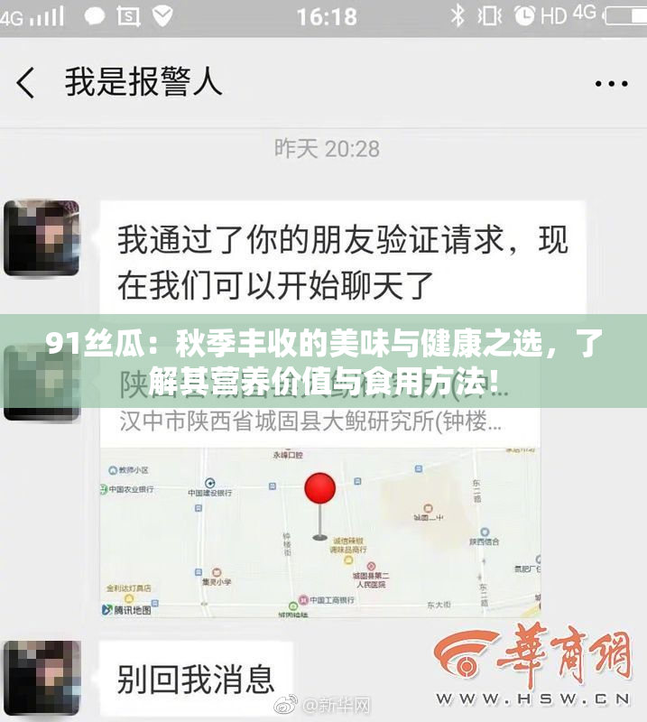 91丝瓜：秋季丰收的美味与健康之选，了解其营养价值与食用方法！