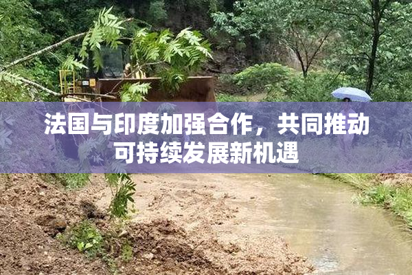 法国与印度加强合作，共同推动可持续发展新机遇