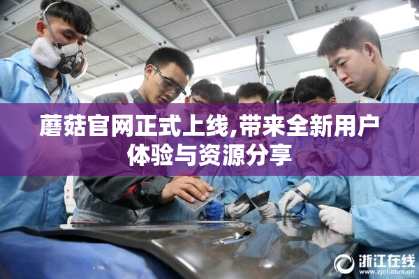蘑菇官网正式上线,带来全新用户体验与资源分享