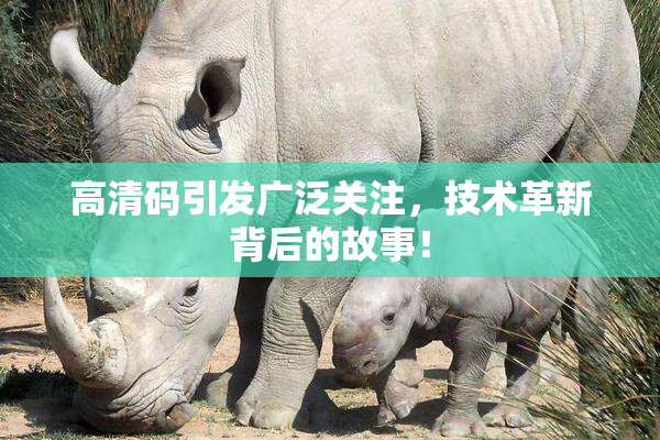 高清码引发广泛关注，技术革新背后的故事！