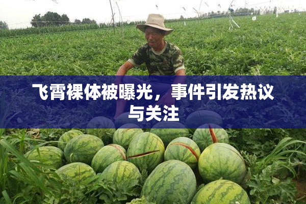 飞霄裸体被曝光，事件引发热议与关注