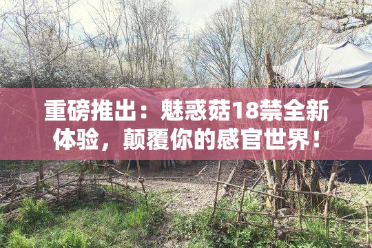 重磅推出：魅惑菇18禁全新体验，颠覆你的感官世界！