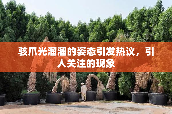 骇爪光溜溜的姿态引发热议，引人关注的现象
