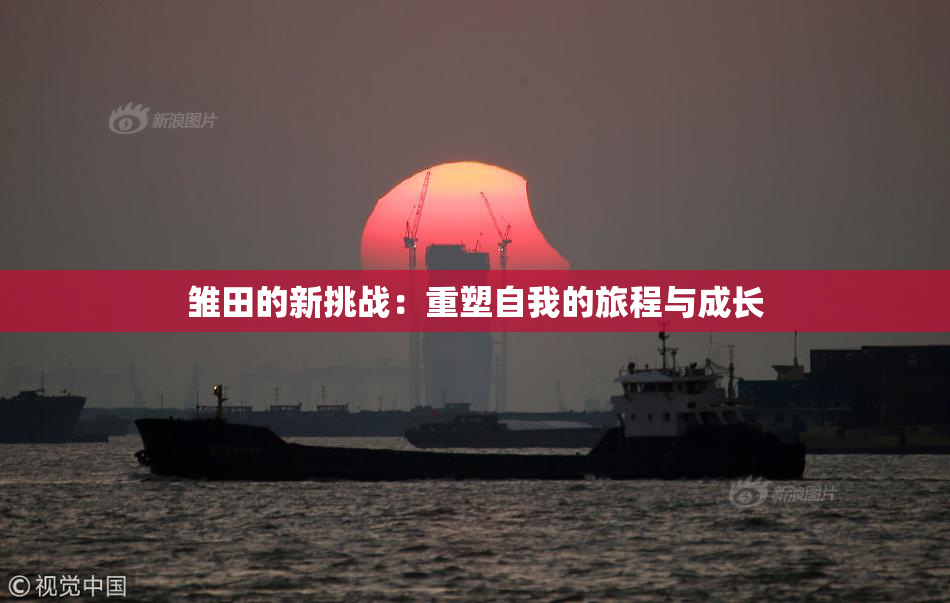 雏田的新挑战：重塑自我的旅程与成长
