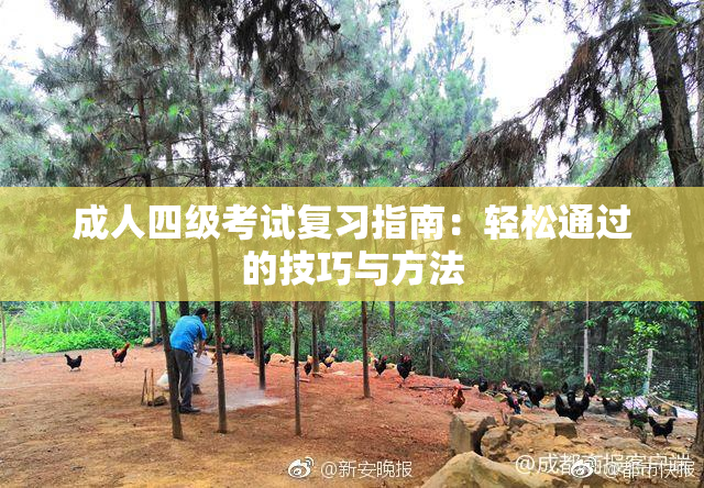 成人四级考试复习指南：轻松通过的技巧与方法