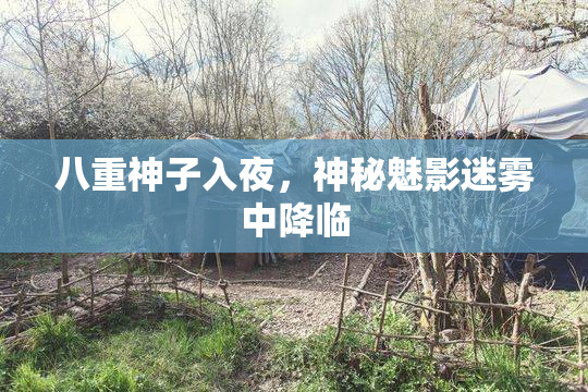 八重神子入夜，神秘魅影迷雾中降临