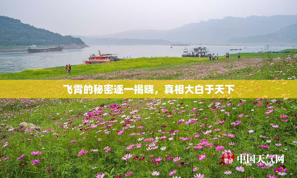 飞霄的秘密逐一揭晓，真相大白于天下