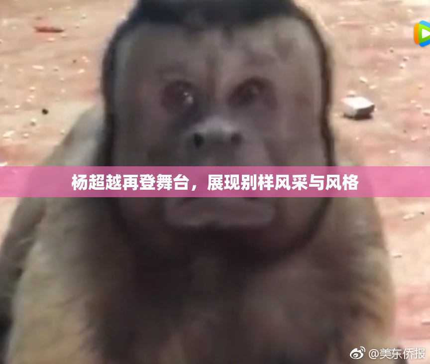 杨超越再登舞台，展现别样风采与风格
