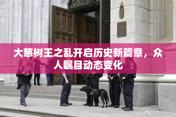 大慈树王之乱开启历史新篇章，众人瞩目动态变化