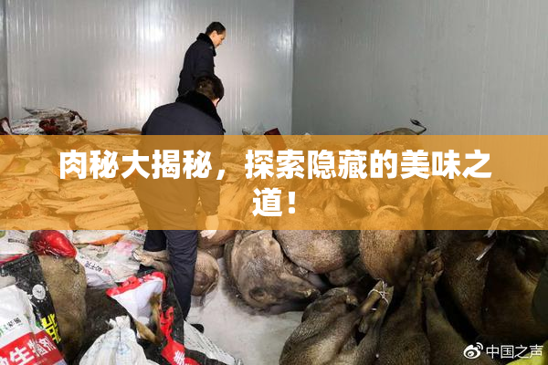 肉秘大揭秘，探索隐藏的美味之道！