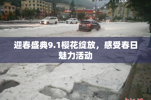 迎春盛典9.1樱花绽放，感受春日魅力活动