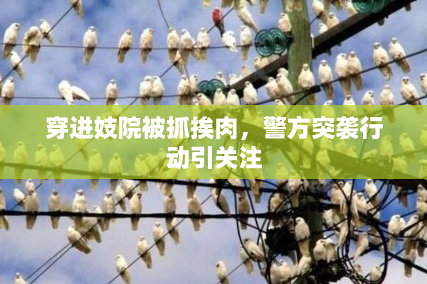 穿进妓院被抓挨肉，警方突袭行动引关注