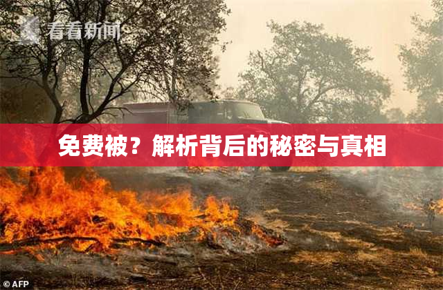 免费被？解析背后的秘密与真相