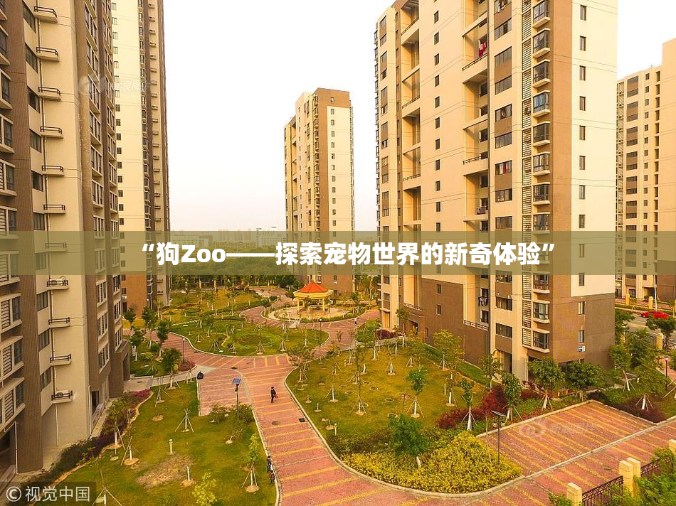 “狗Zoo——探索宠物世界的新奇体验”