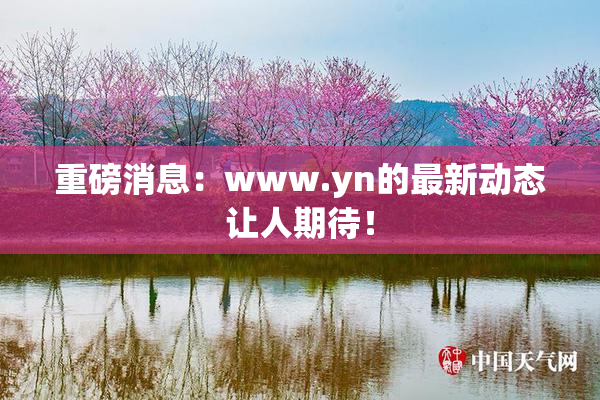 重磅消息：www.yn的最新动态让人期待！