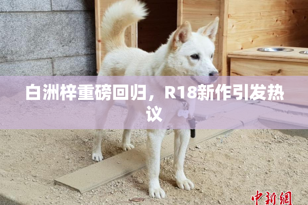 白洲梓重磅回归，R18新作引发热议