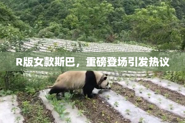 R版女款斯巴，重磅登场引发热议
