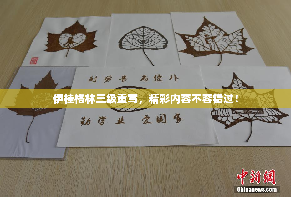 伊桂格林三级重写，精彩内容不容错过！