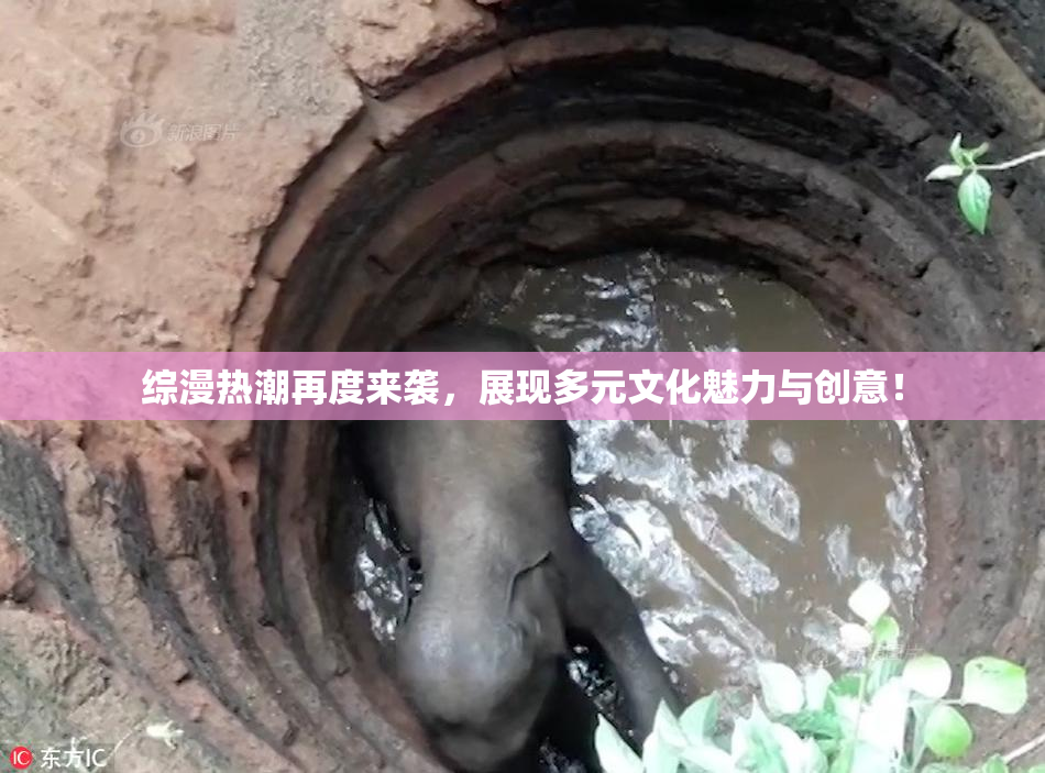 综漫热潮再度来袭，展现多元文化魅力与创意！