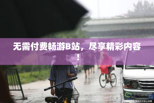 无需付费畅游B站，尽享精彩内容！
