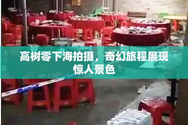 高树零下海拍摄，奇幻旅程展现惊人景色