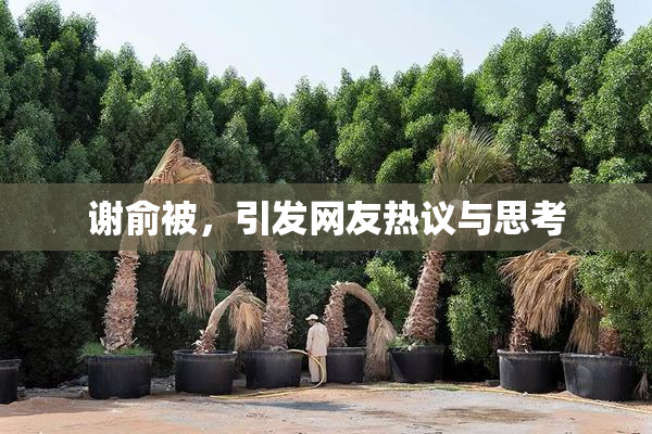 谢俞被，引发网友热议与思考