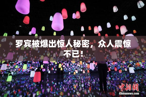 罗宾被爆出惊人秘密，众人震惊不已！