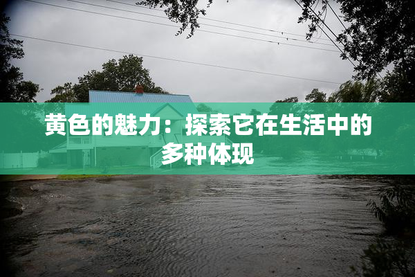 黄色的魅力：探索它在生活中的多种体现
