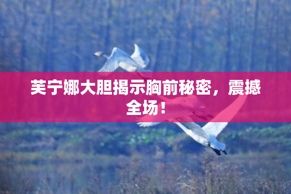 芙宁娜大胆揭示胸前秘密，震撼全场！