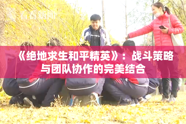 《绝地求生和平精英》：战斗策略与团队协作的完美结合