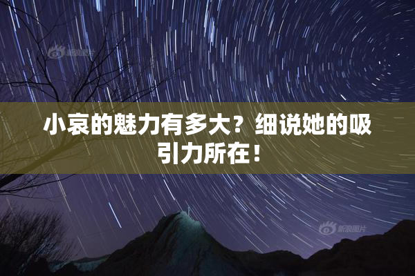 小哀的魅力有多大？细说她的吸引力所在！